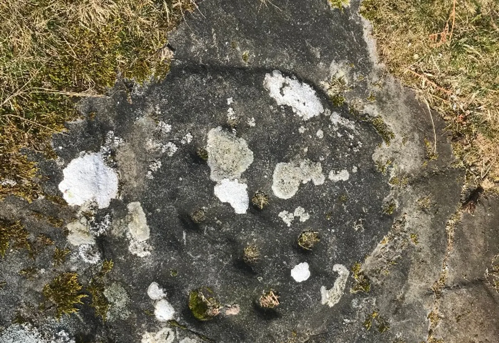 Weathered rock surface with prehistoric cup markings and lichen