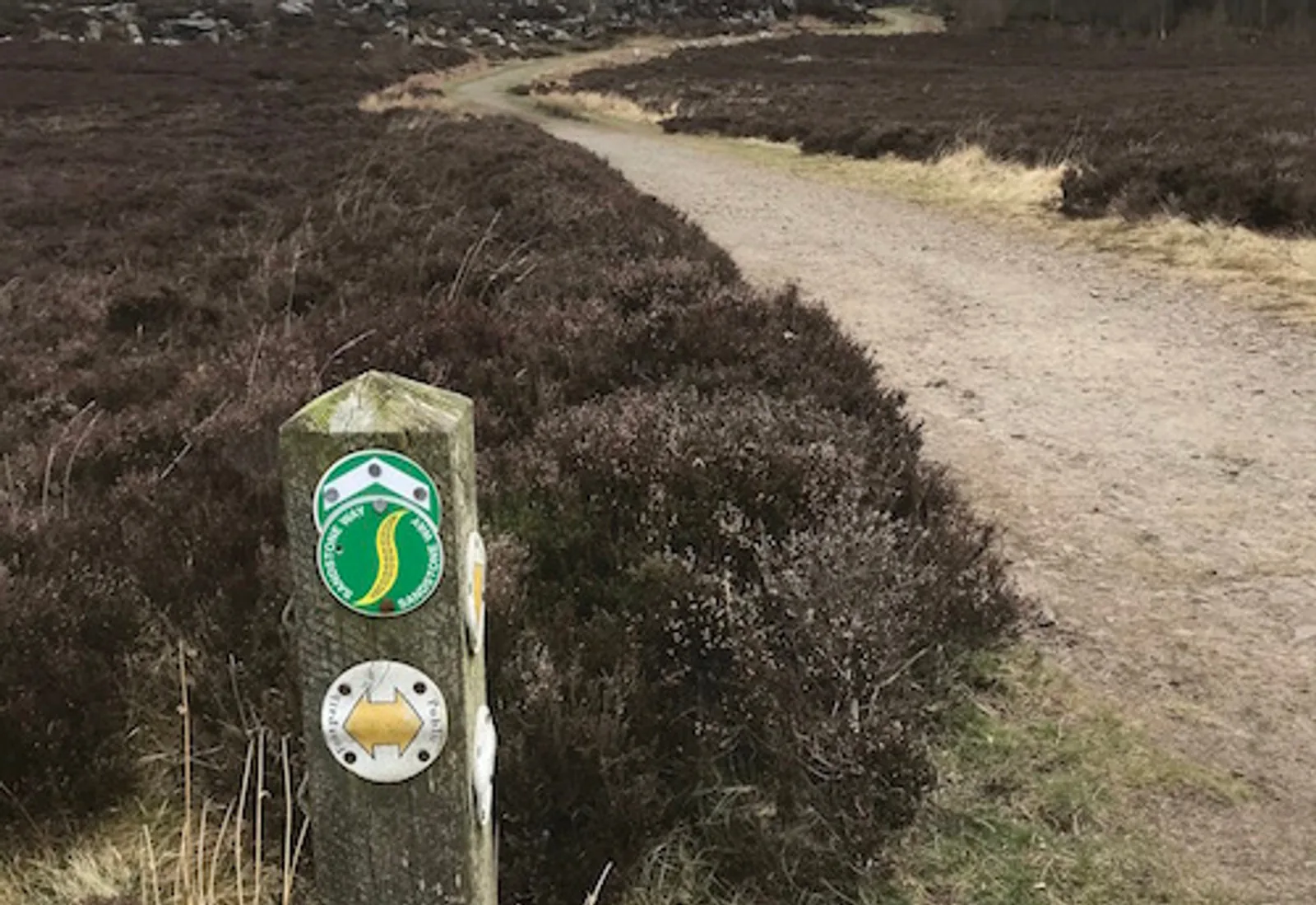 A waymarker post beside a heather-lined track on Doddington Moor